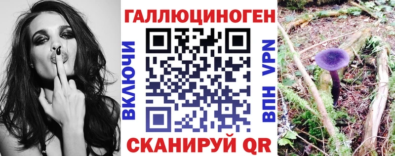 Псилоцибиновые грибы мицелий  Куровское 