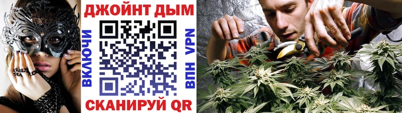 Канабис конопля  Куровское 